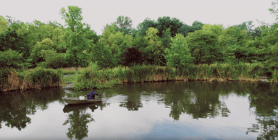 biologist treating pond