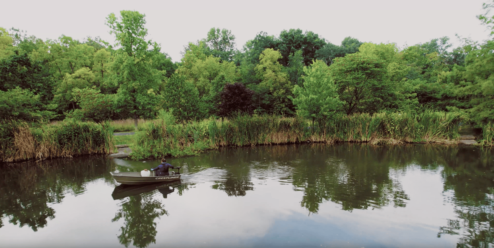 biologist treating pond