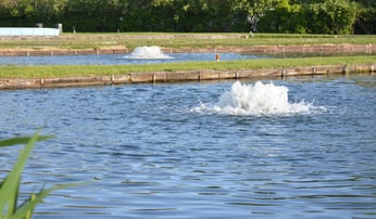 aeration