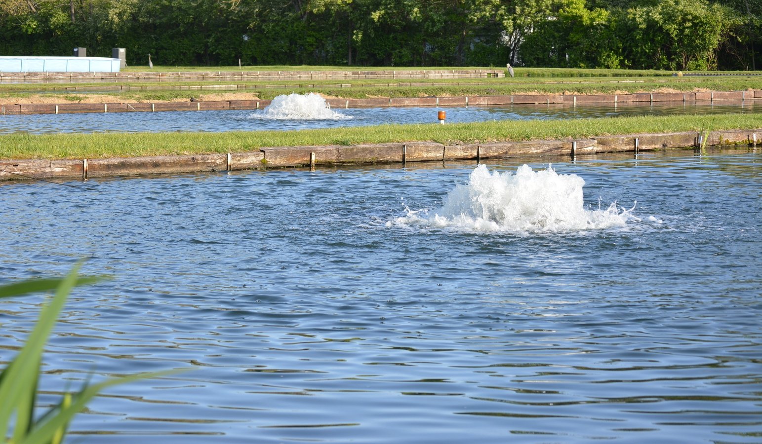 aeration