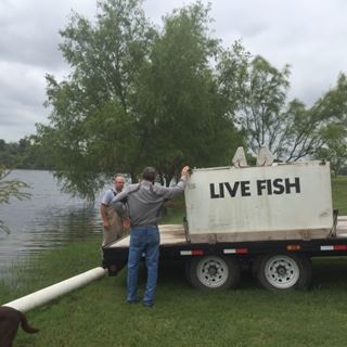 Johnson Lake Management|Pond & Lake Fish Stocking Services-San Marcos-San Antonio-Austin Texas-TX