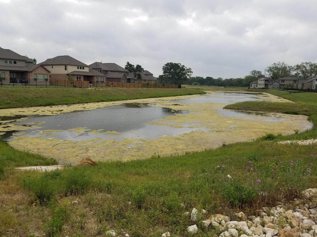 Johnson Lake Management|Pond & Lake Management Services-San Marcos-San Antonio-Austin Texas-TX