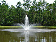 Johnson Lake Management|Pond & Lake Fountain Services-San Marcos-San Antonio-Austin Texas-TX